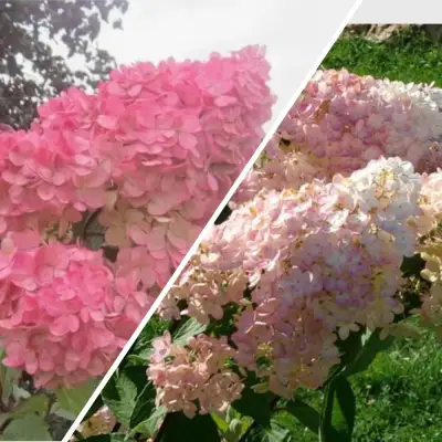 Комплект МНОГОГРАННОСТЬ в Молодечно