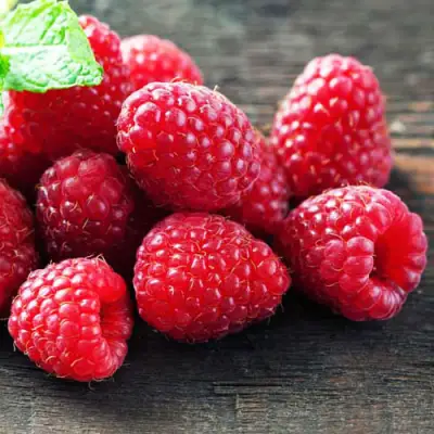 Малина ЭРИКА в Молодечно