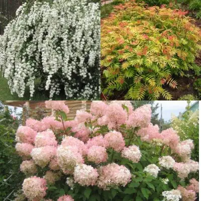 Комплект ФЕЙЕРВЕРК ЛЕТА в Молодечно