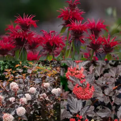 Комплект ОГНЕННЫЙ МИКС в Молодечно