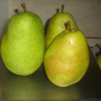 Груша БЕРЕ ЛЮКА в Молодечно