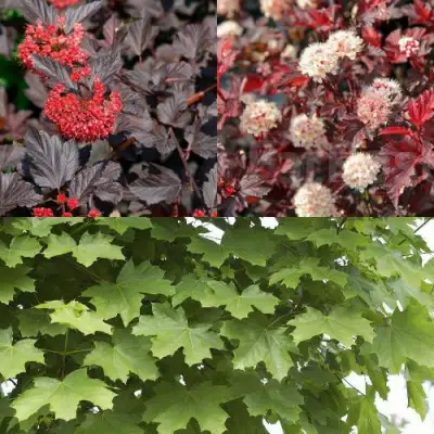 Комплект ОСЕННИЙ КОСТЕР в Молодечно