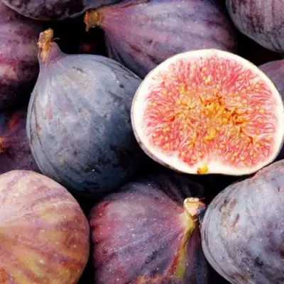 Инжир МУАССОН в Молодечно