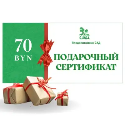Подарочный сертификат на  70 BYN в Молодечно
