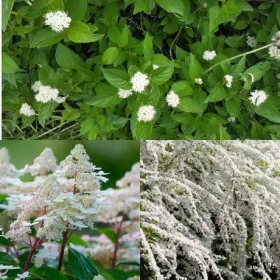 Комплект СКАНДИНАВСКИЙ СТИЛЬ в Молодечно