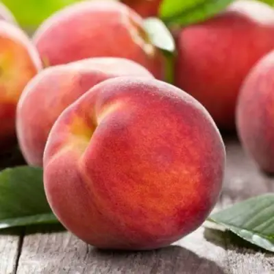 Персик МАЙСКИЙ ЦВЕТОК в Молодечно