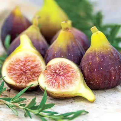 Инжир НИКИТСКИЙ в Молодечно