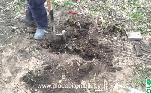 Превью видео