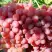 Виноград КИШМИШ КРАСНЫЙ в Молодечно
