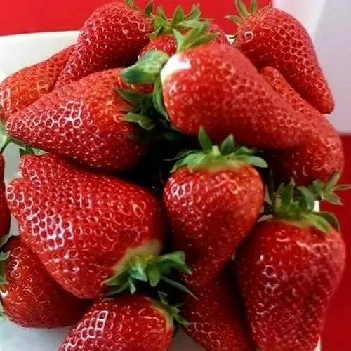 Клубника БРИЛЛА  Клубника БРИЛЛА в Молодечно