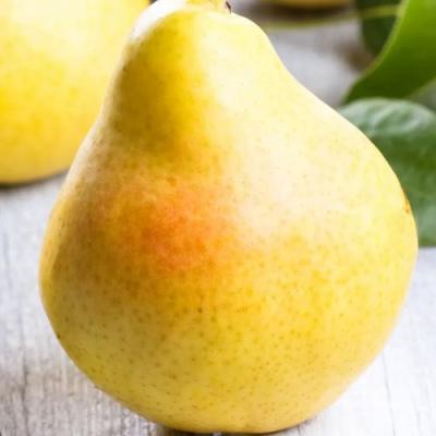 Желтая в Молодечно