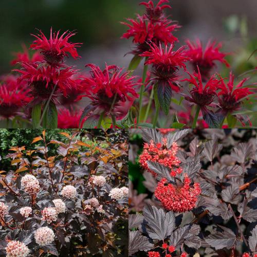 Комплект ОГНЕННЫЙ МИКС в Молодечно