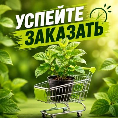 УСПЕЙТЕ ЗАКАЗАТЬ в Молодечно