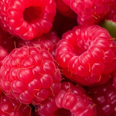 Красная в Молодечно