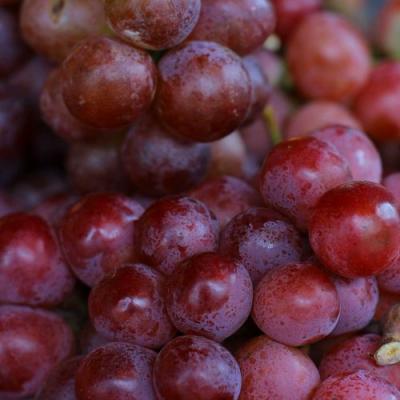 Красный в Молодечно