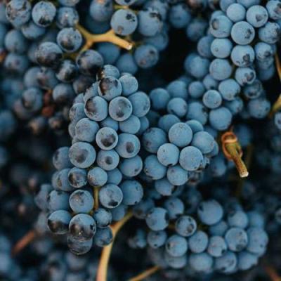 Технический в Молодечно