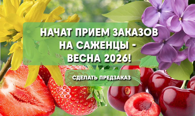 Сезон осень 2025 завершён — открыт приём заказов на весну 2026 Сезон осень 2025 завершён — открыт приём заказов на весну 2026