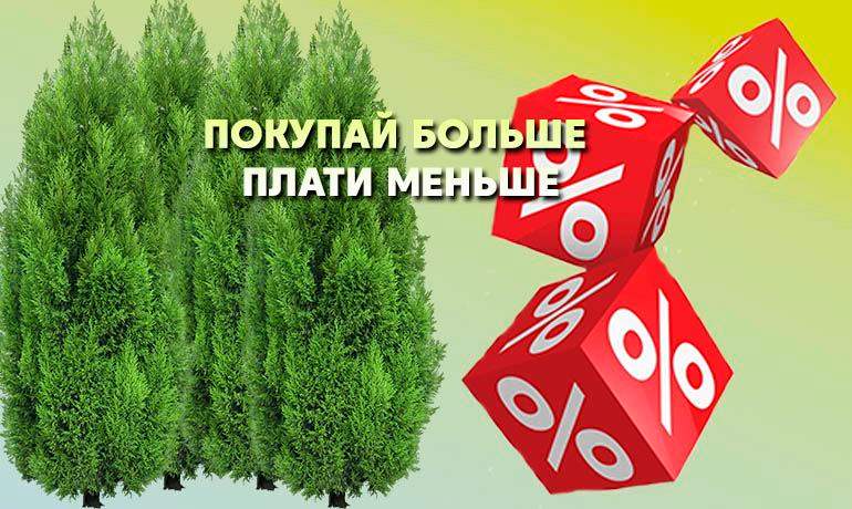 Покупай больше-плати меньше