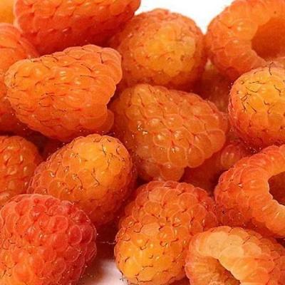 Оранжевая в Молодечно